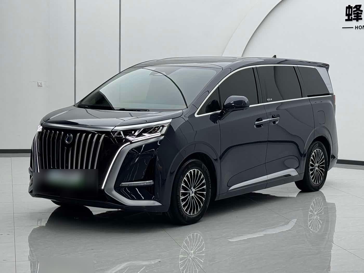 2022 Denza D9 front exterior
