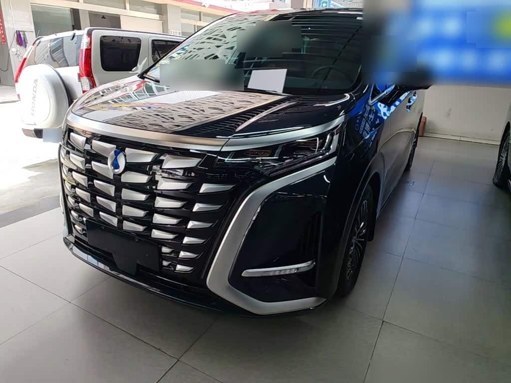 2022 Denza D9