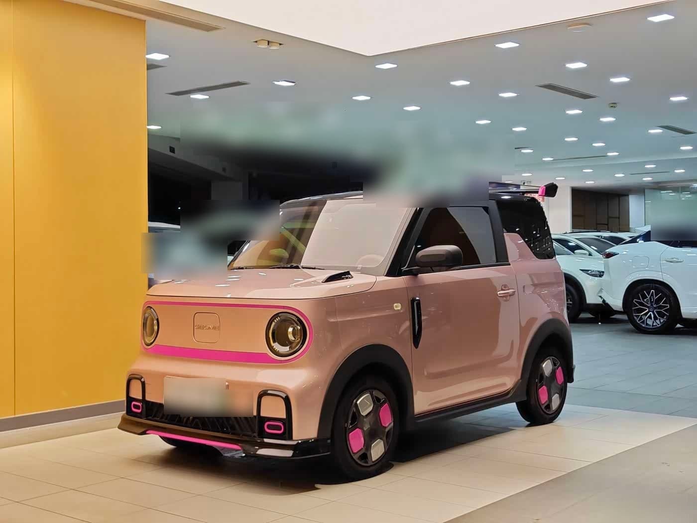 2024 Geely Galaxy Panda