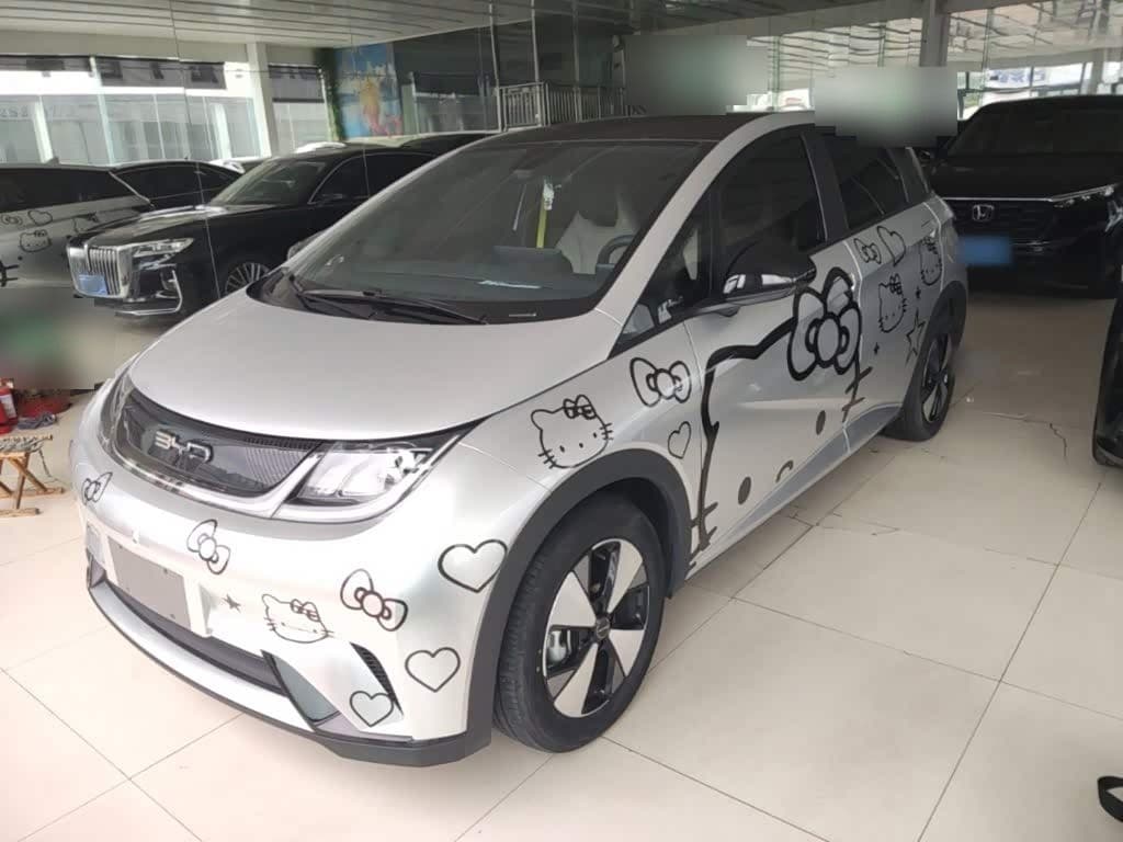 2022 BYD Dolphin