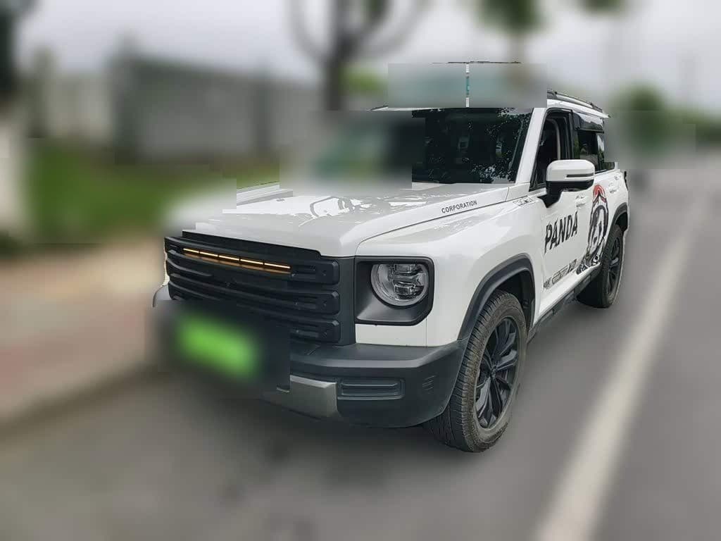 2024 Haval Meng Long NEV front exterior