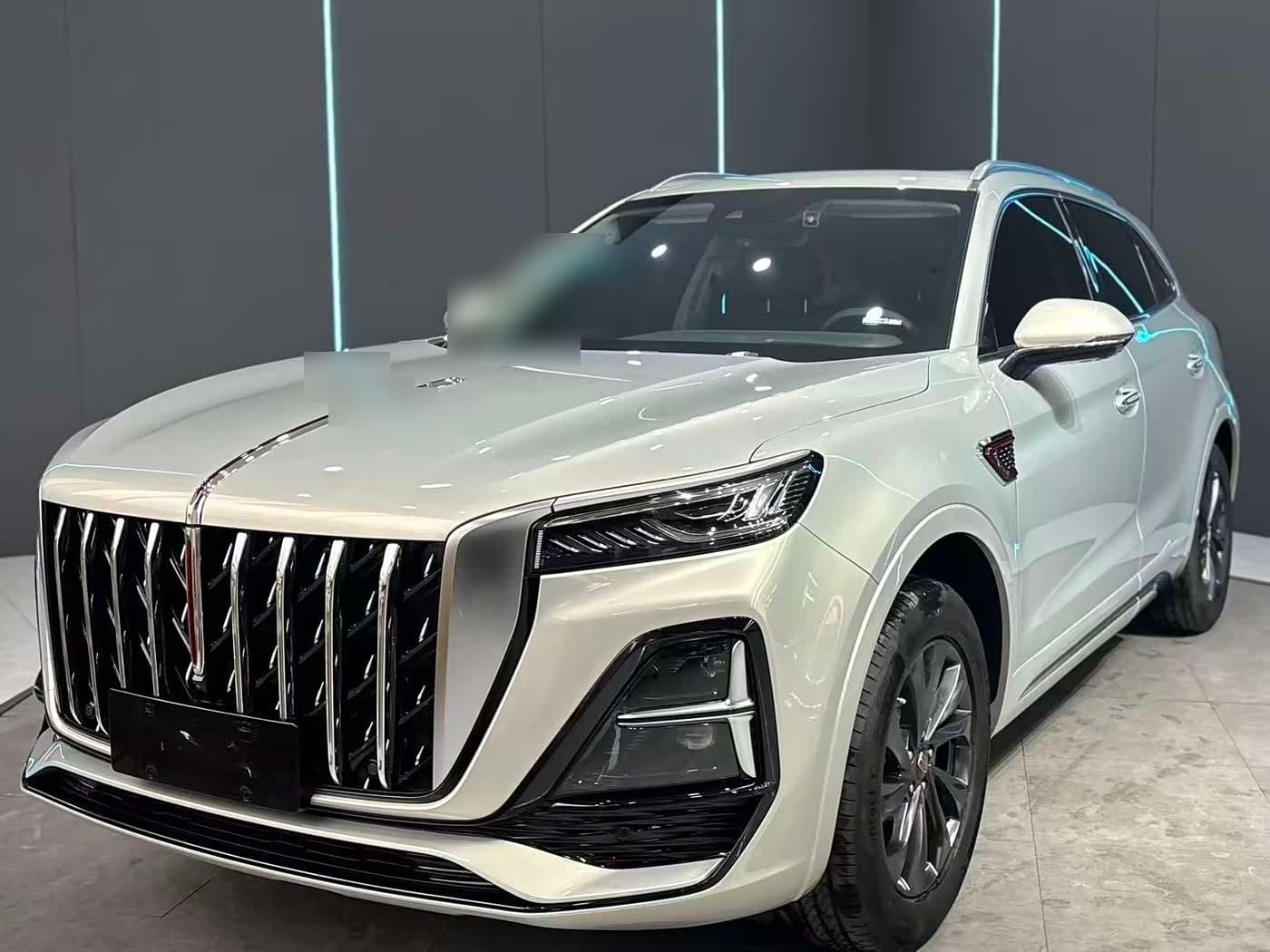 2023 Hongqi HS5
