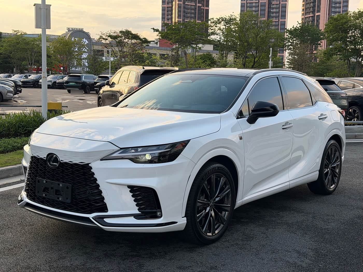 2023 Lexus RX front exterior