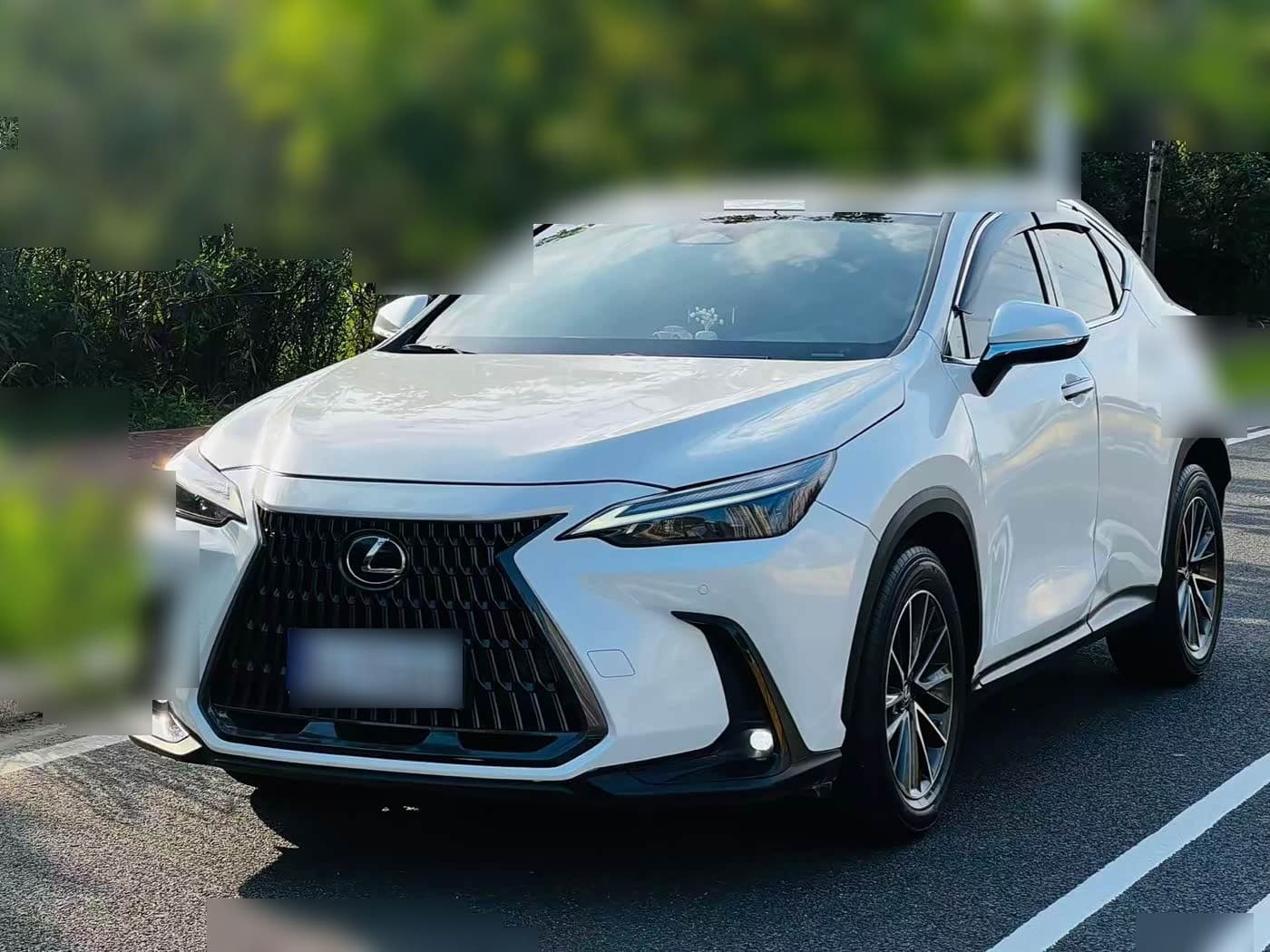 2024 Lexus NX front exterior