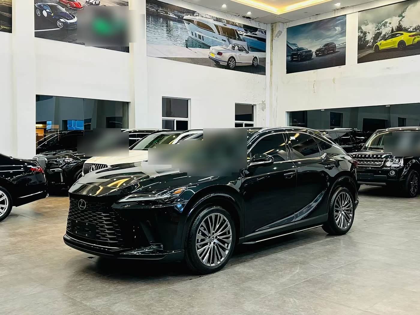 2024 Lexus RX front exterior