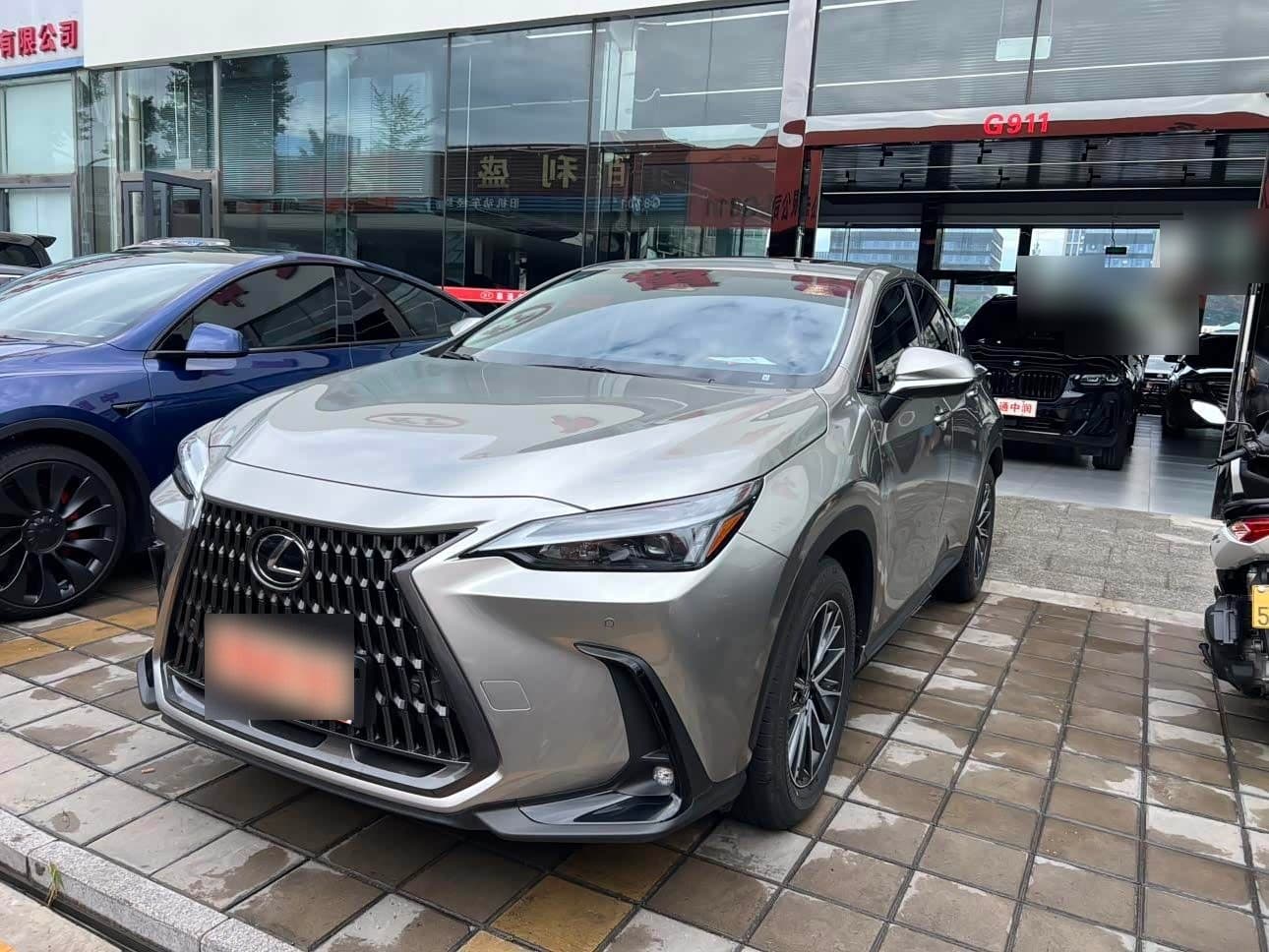 2024 Lexus NX New Energy front exterior