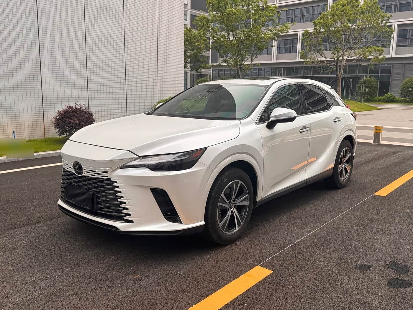 2024 Lexus RX