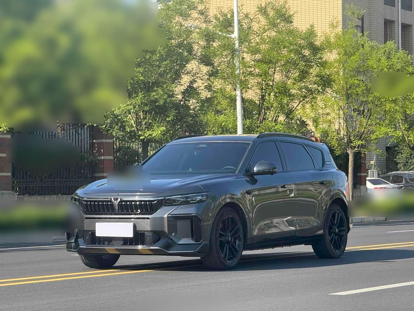 2024 Voyah Auto VOYAH FREE front exterior