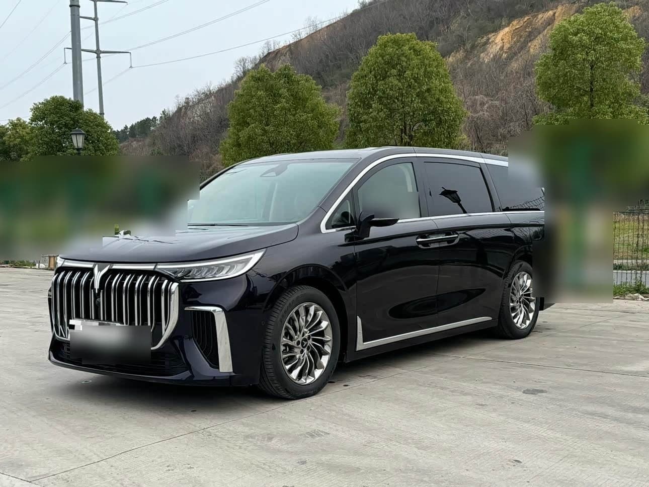 2023 Voyah Auto Voyah Dreamer front exterior