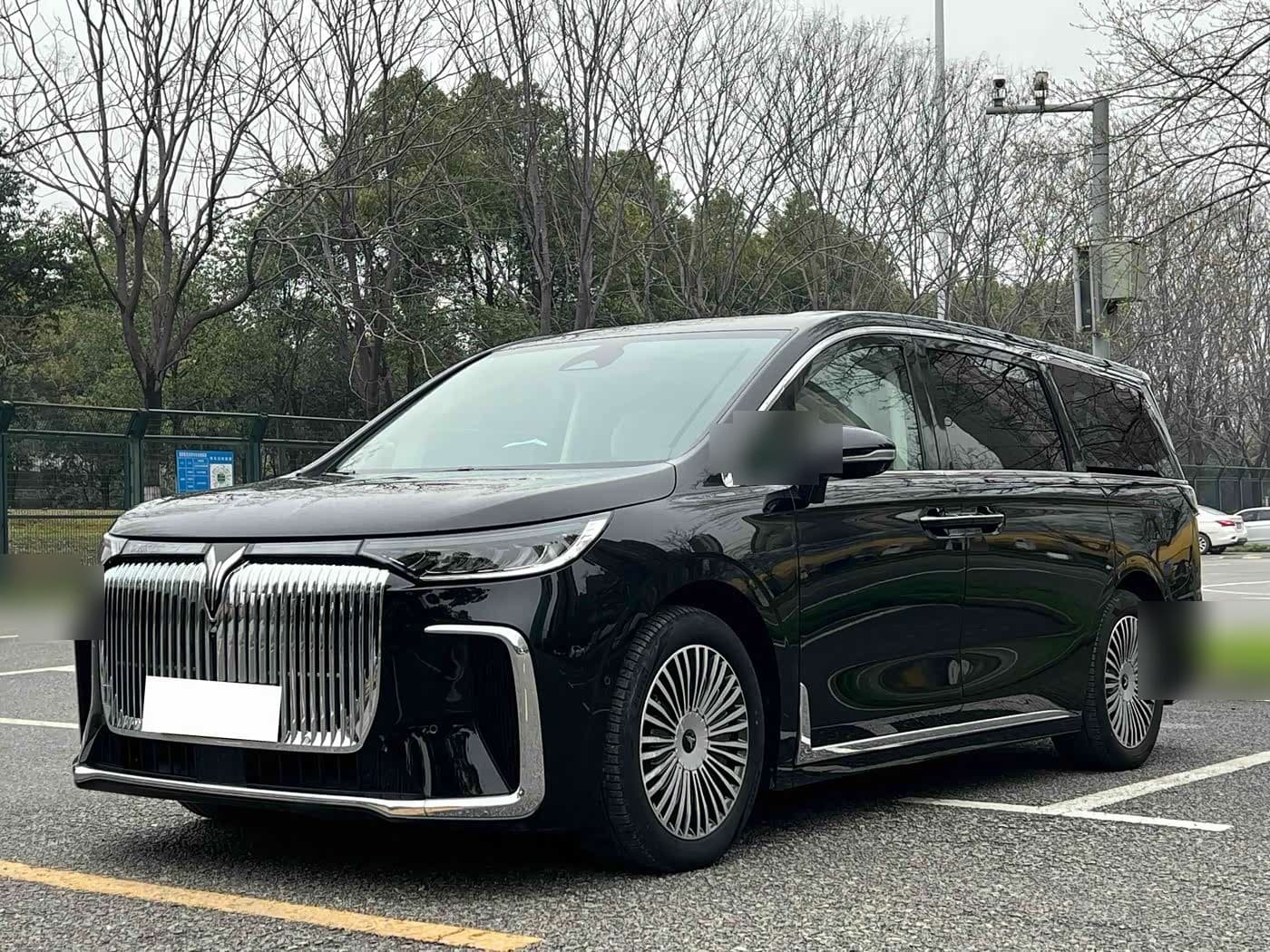 2024 Voyah Auto Voyah Dreamer front exterior