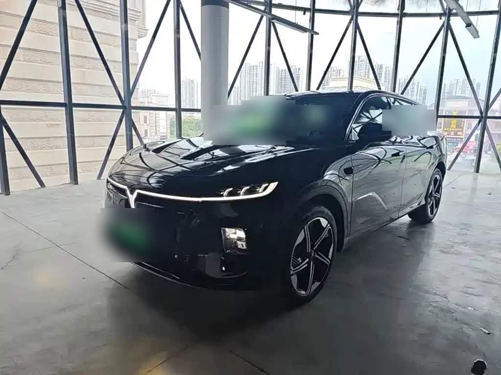 2024 Voyah Auto Voyah Zhiyin
