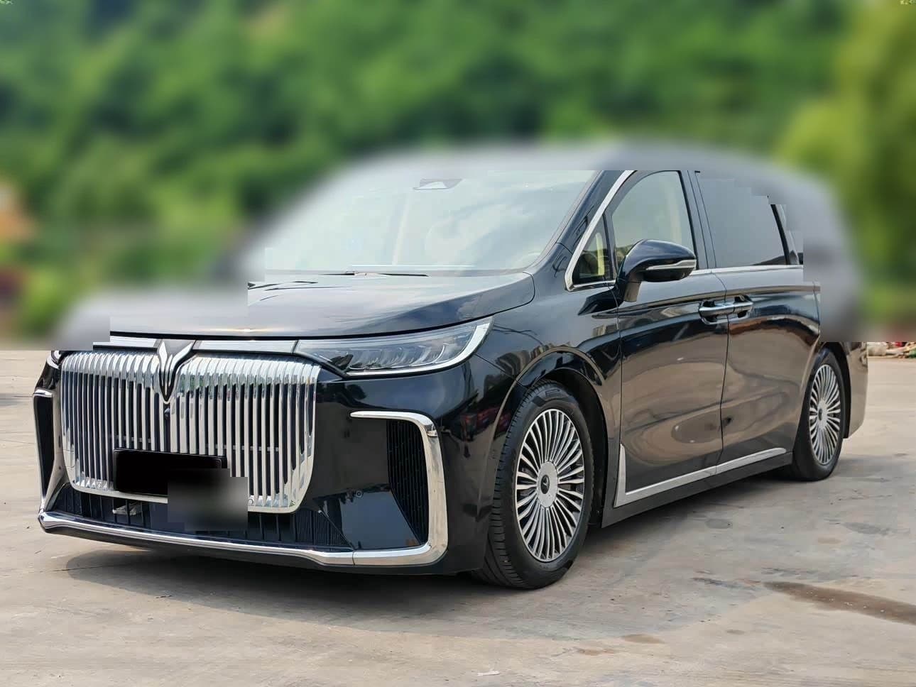 2024 Voyah Auto Voyah Dreamer front exterior