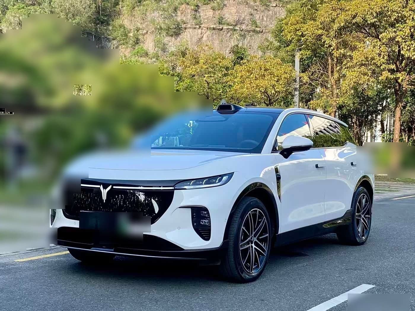 2025 Voyah Auto Voyah Zhiyin