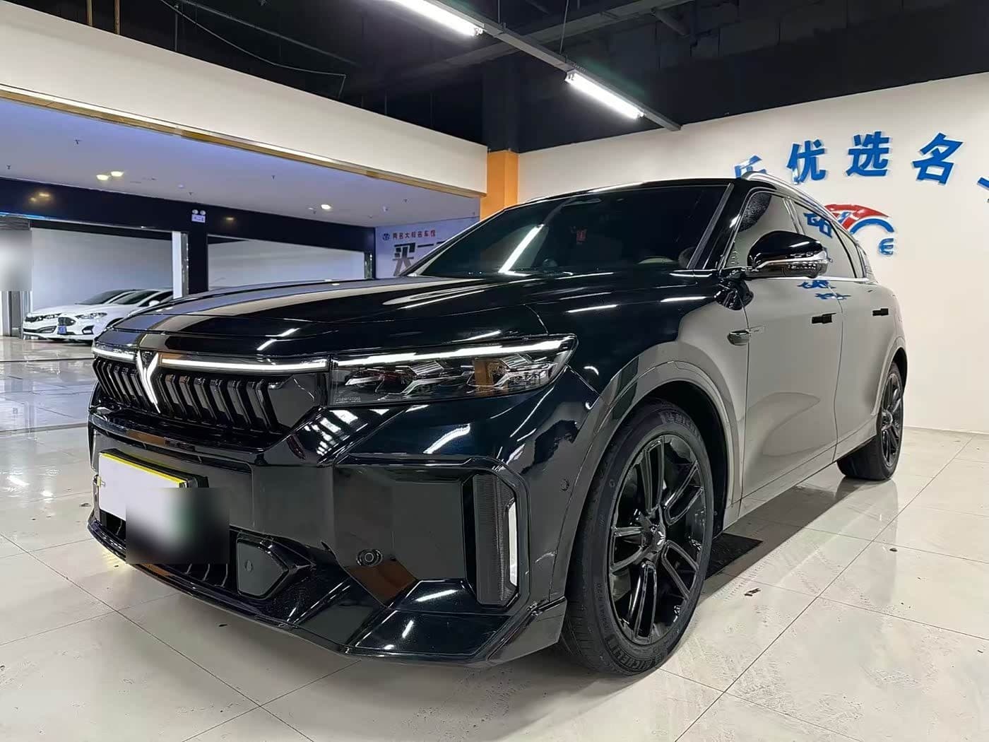 2023 Voyah Auto VOYAH FREE front exterior