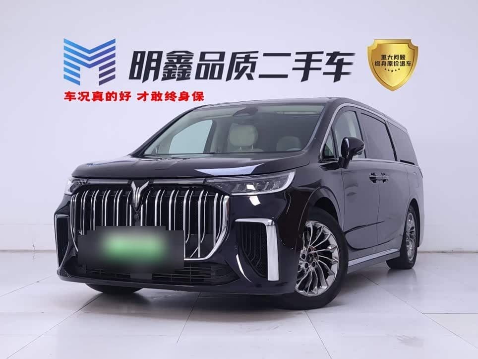 2023 Voyah Auto Voyah Dreamer front exterior