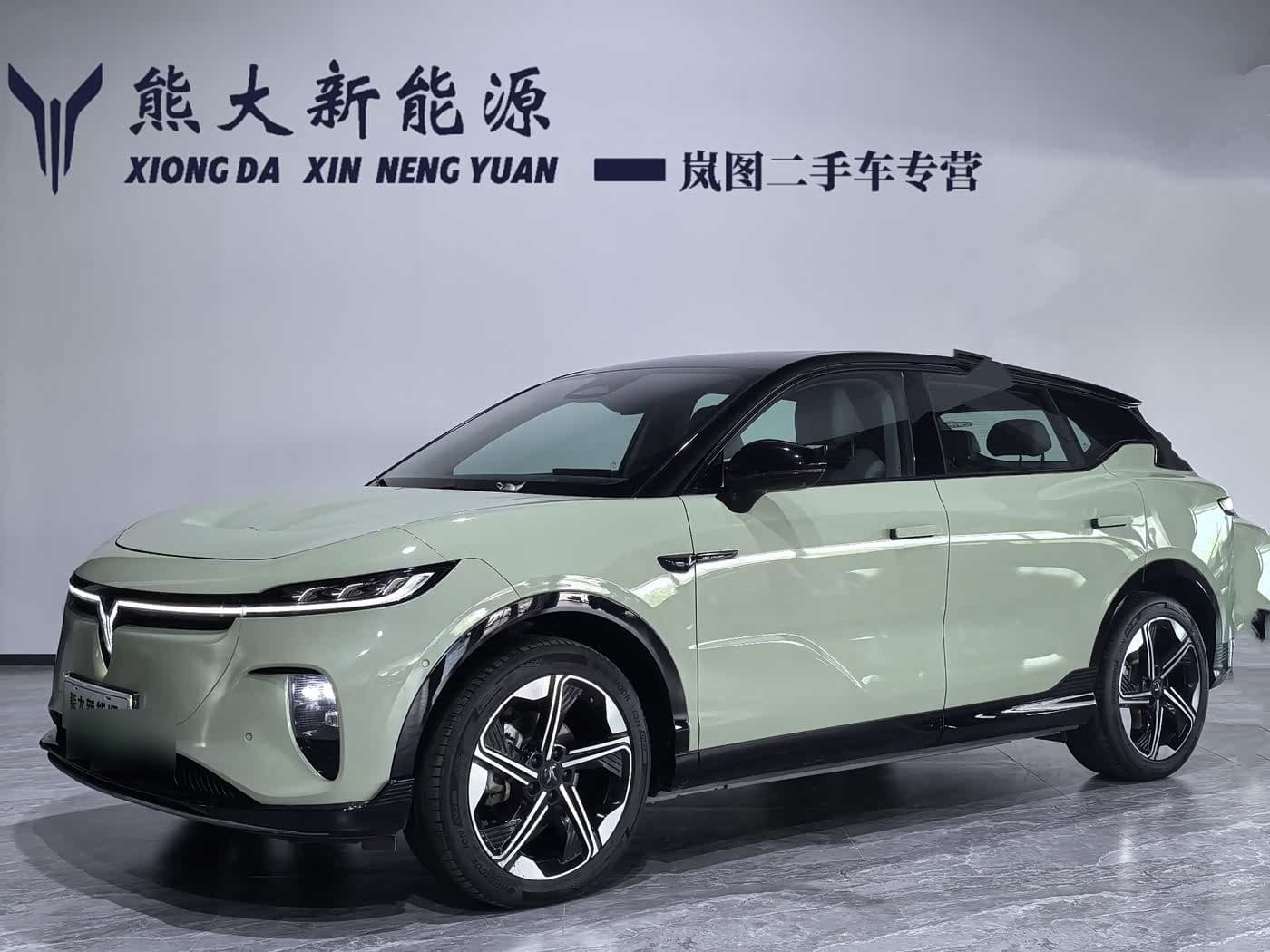 2024 Voyah Auto Voyah Zhiyin