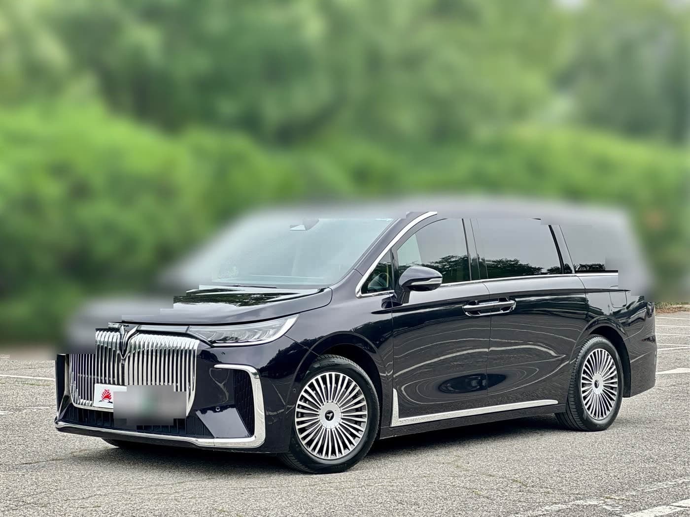 2024 Voyah Auto Voyah Dreamer front exterior