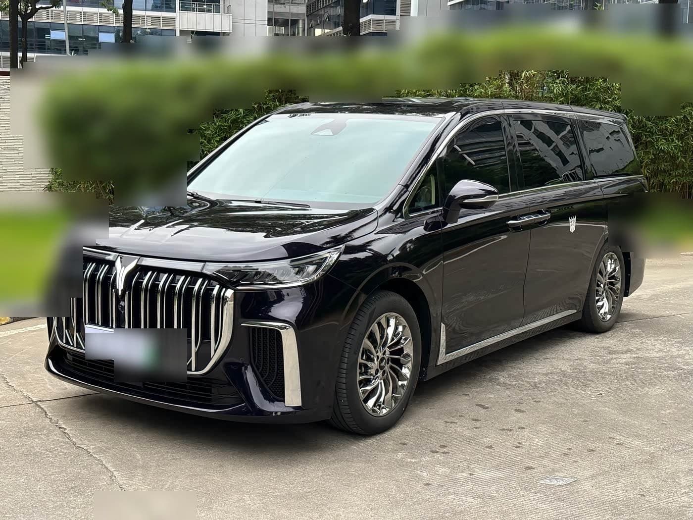 2023 Voyah Auto Voyah Dreamer front exterior