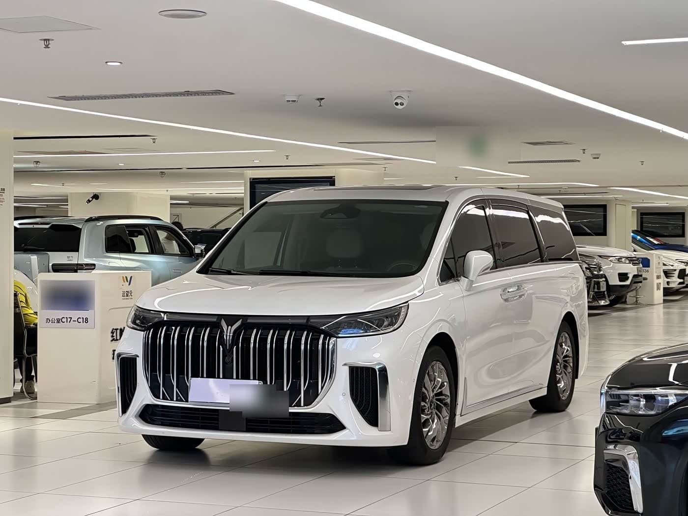 2022 Voyah Auto Voyah Dreamer front exterior