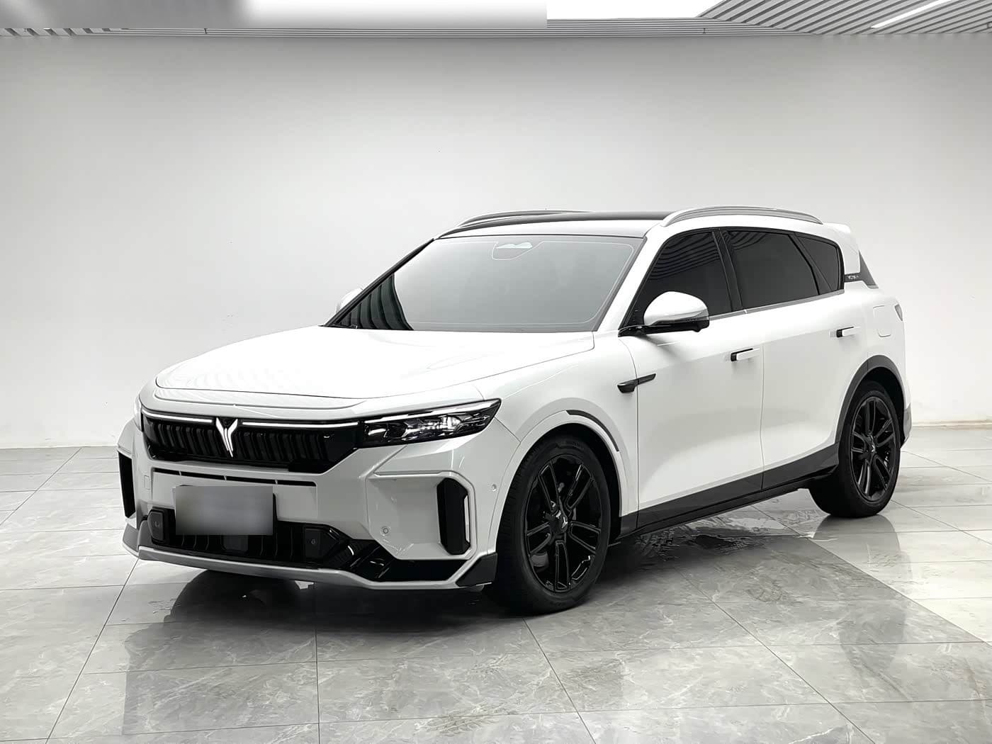 2023 Voyah Auto VOYAH FREE front exterior