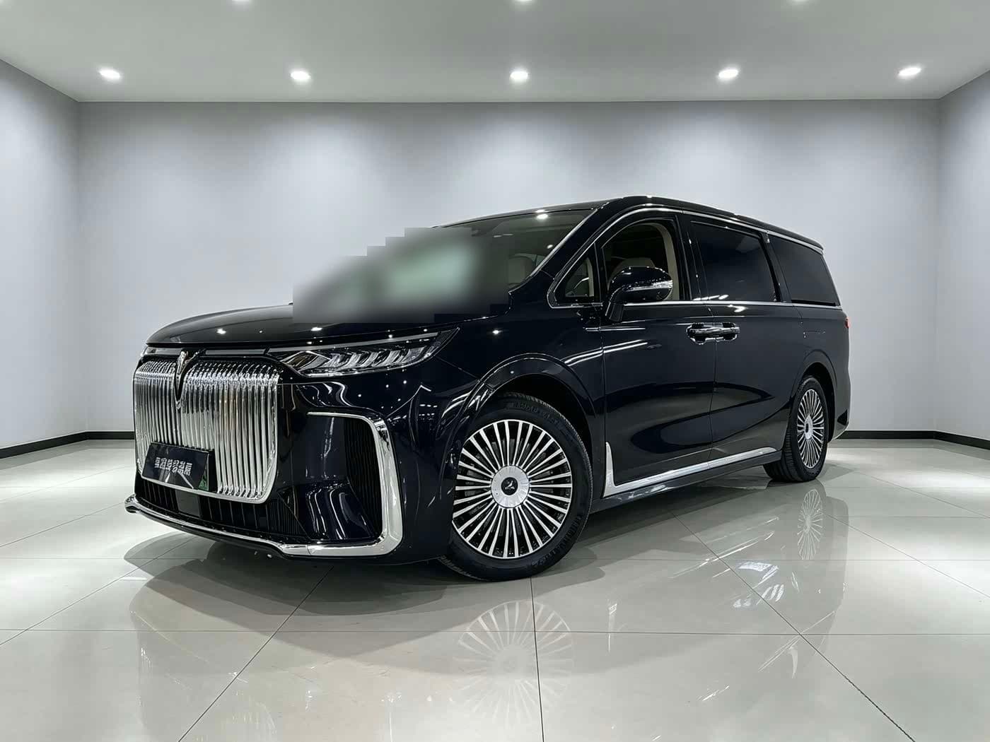 2024 Voyah Auto Voyah Dreamer front exterior