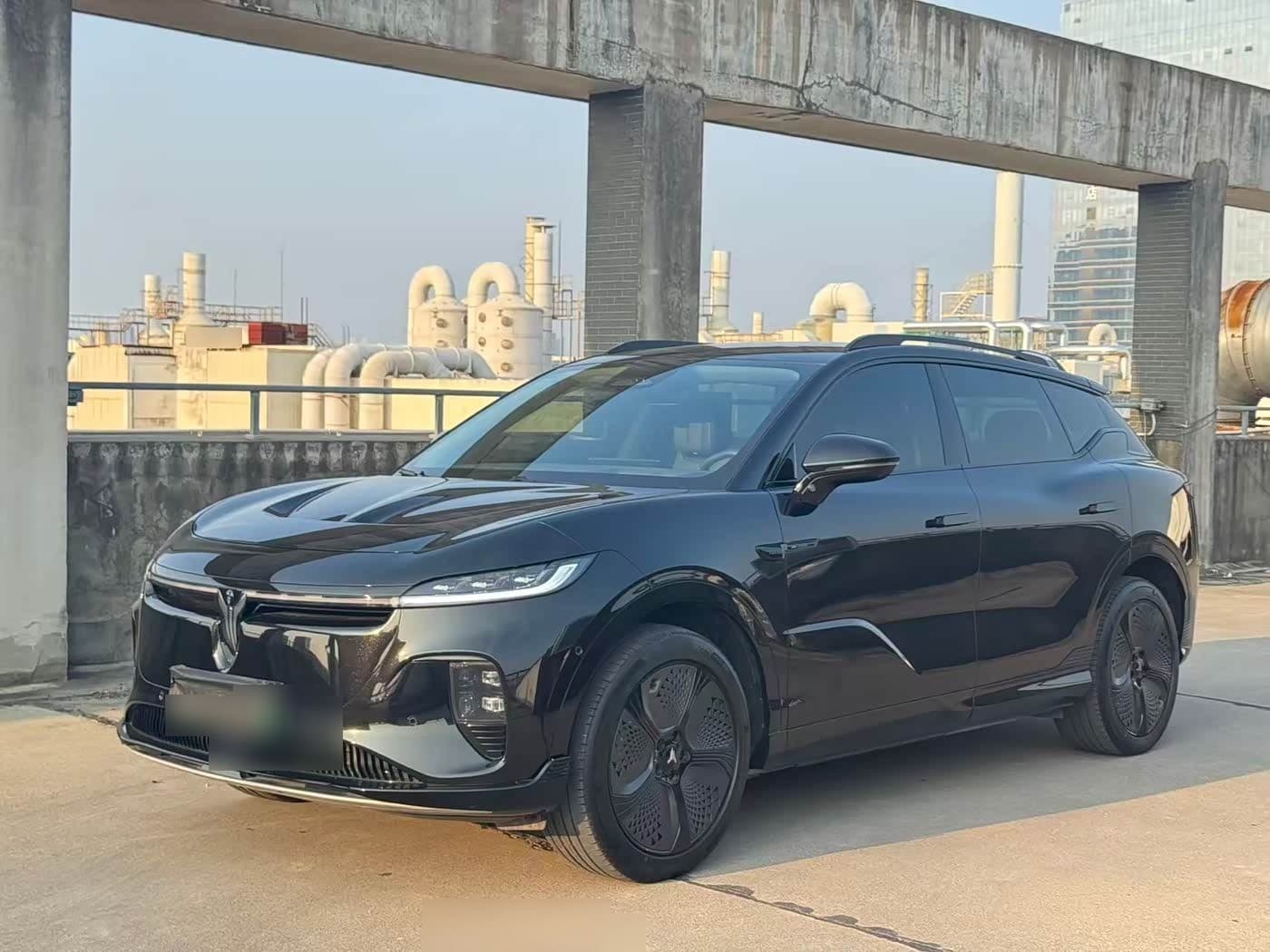 2024 Voyah Auto Voyah Zhiyin