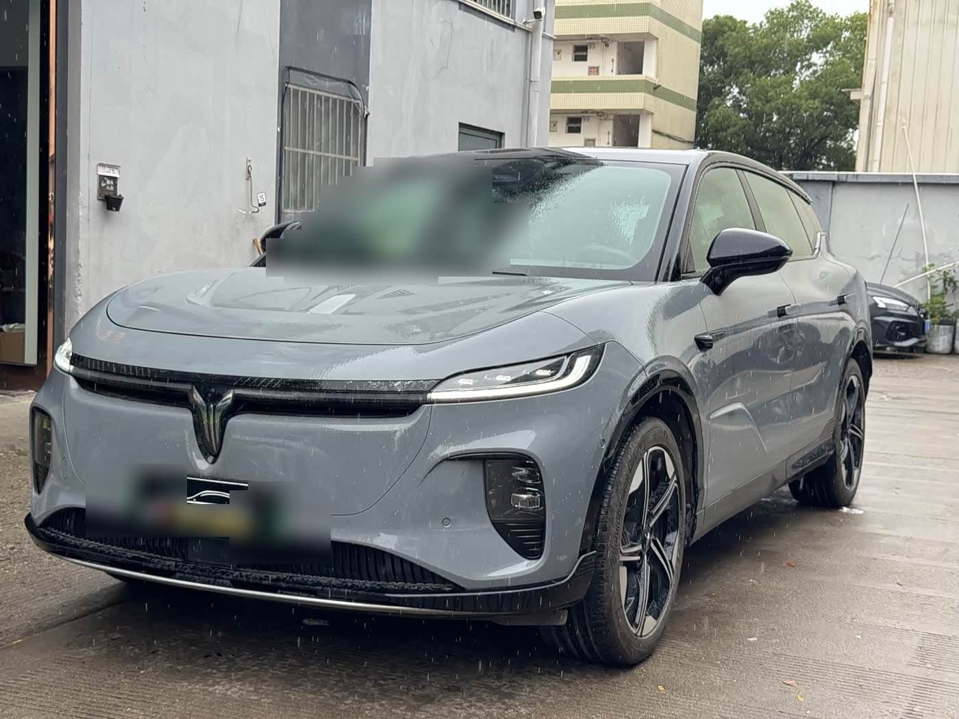 2024 Voyah Auto Voyah Zhiyin