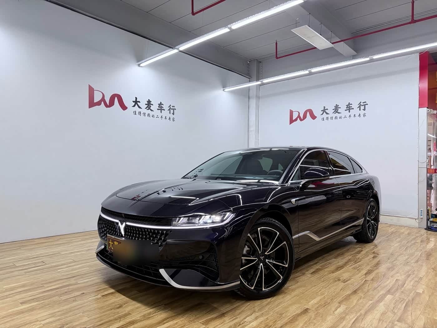 2023 Voyah Auto VOYAH Zhuiguang