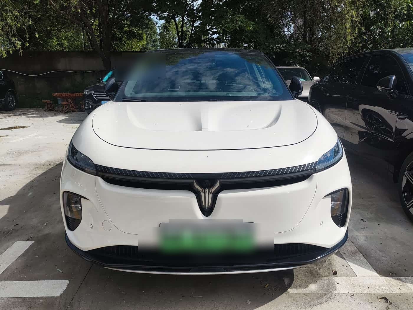 2024 Voyah Auto Voyah Zhiyin front exterior