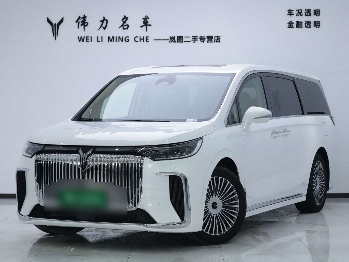 2024 Voyah Auto Voyah Dreamer front exterior