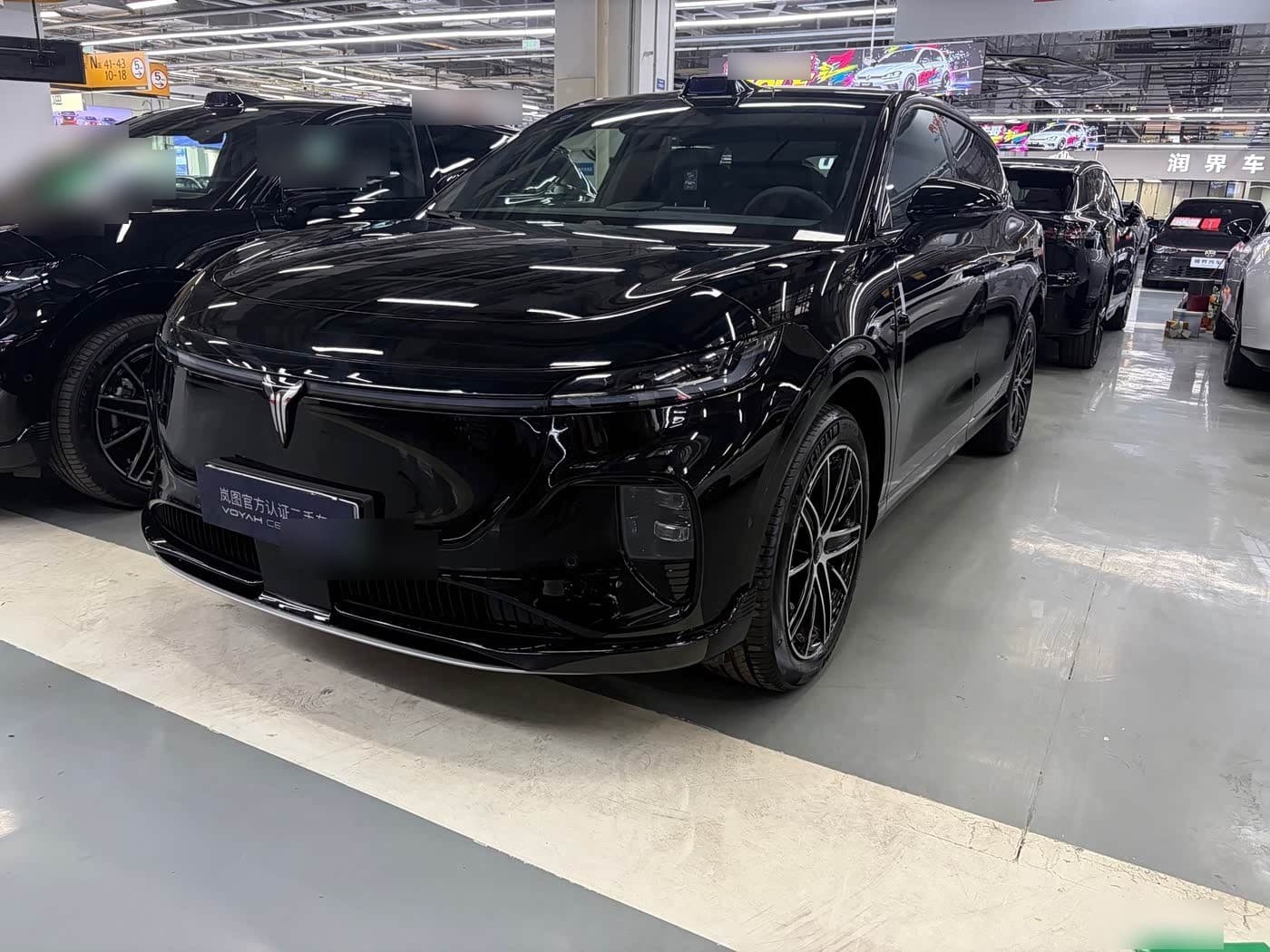 2025 Voyah Auto Voyah Zhiyin