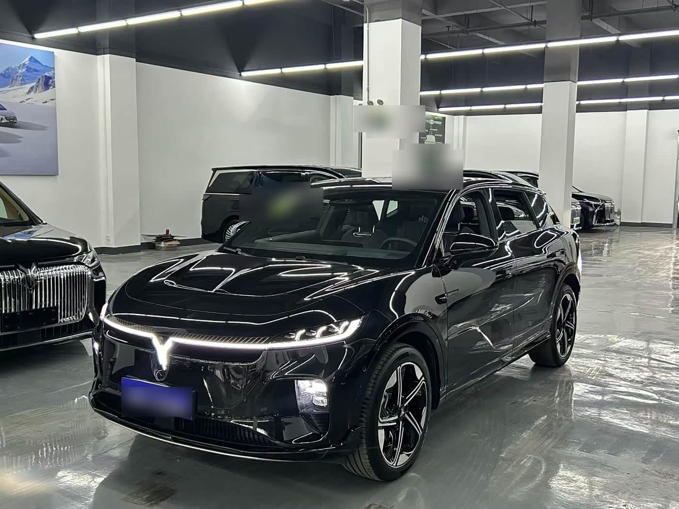 2024 Voyah Auto Voyah Zhiyin