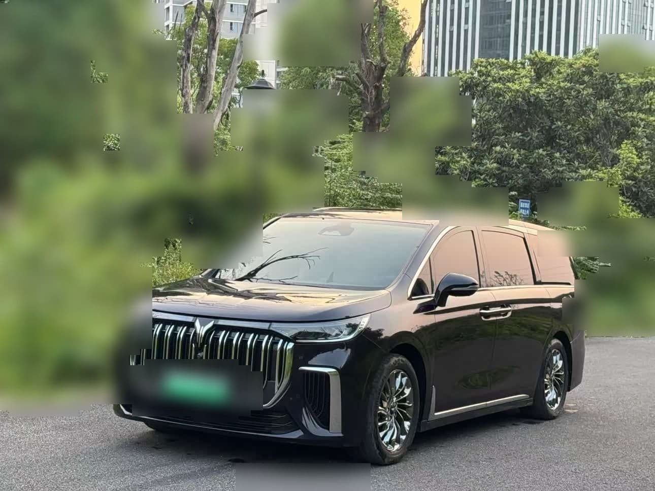2022 Voyah Auto Voyah Dreamer front exterior