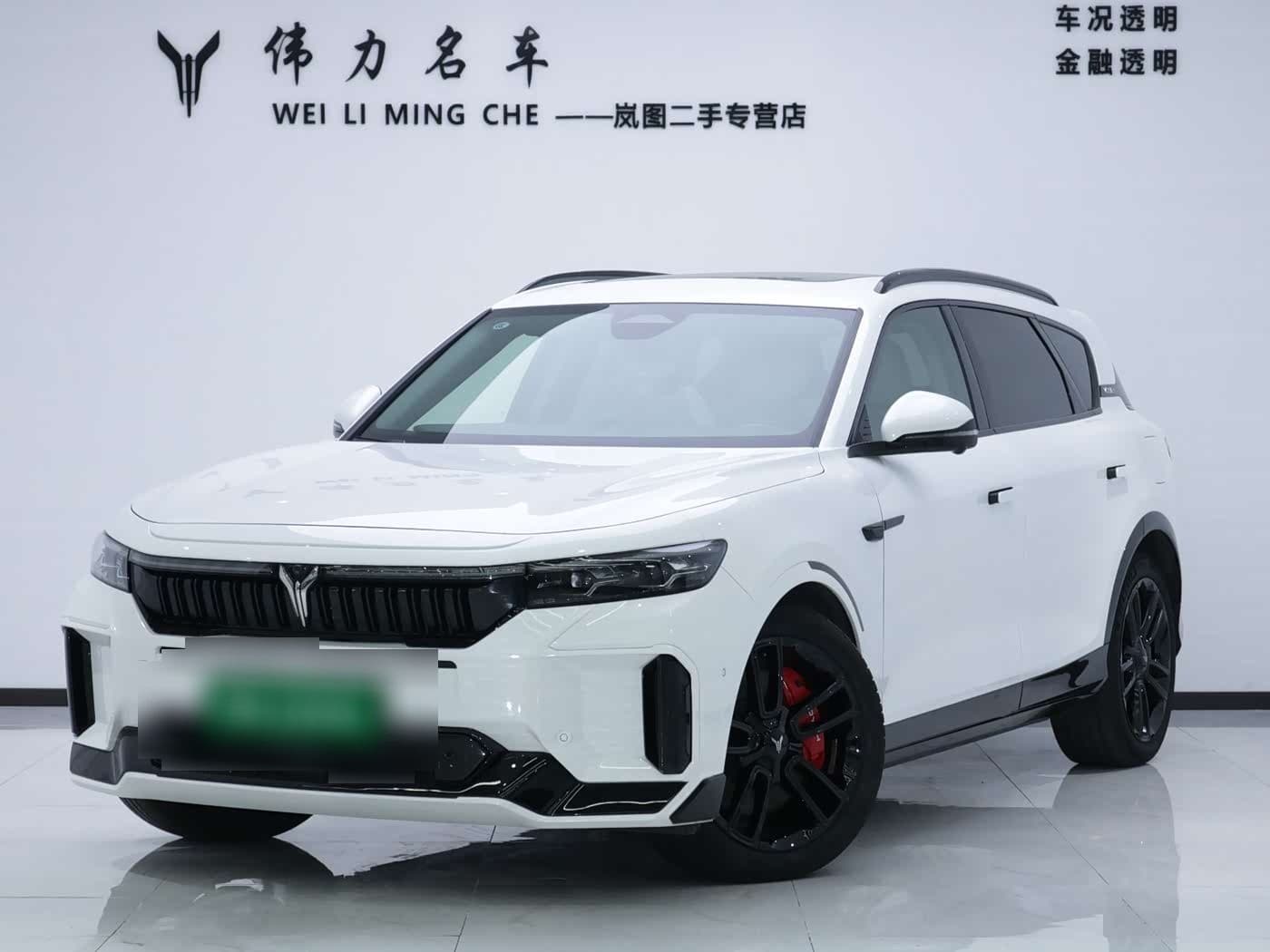 2024 Voyah Auto VOYAH FREE front exterior
