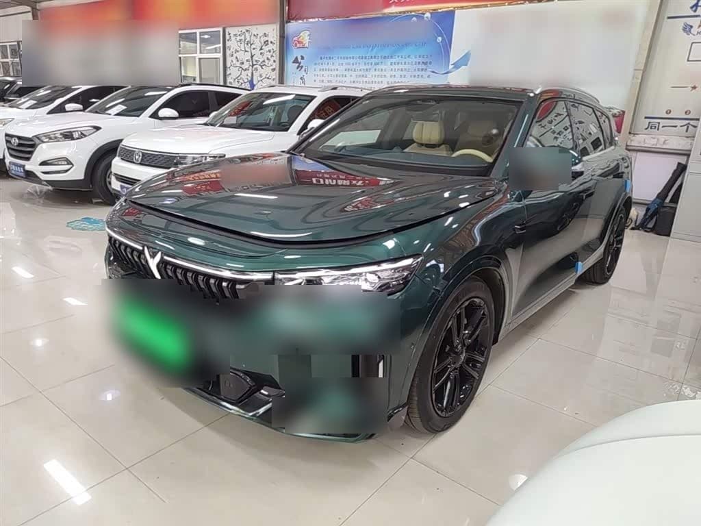 2023 Voyah Auto VOYAH FREE