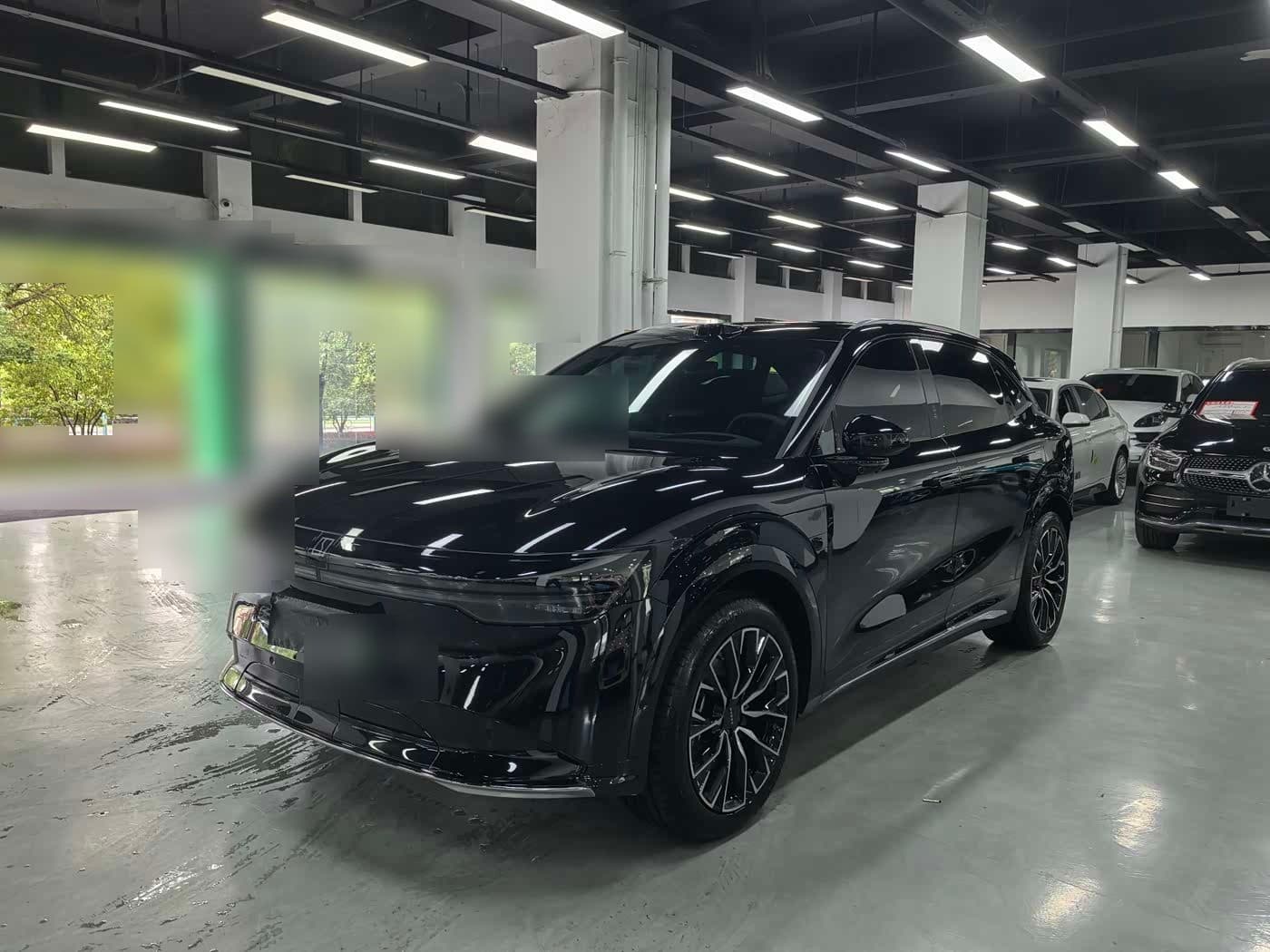 2024 Zeekr 7X