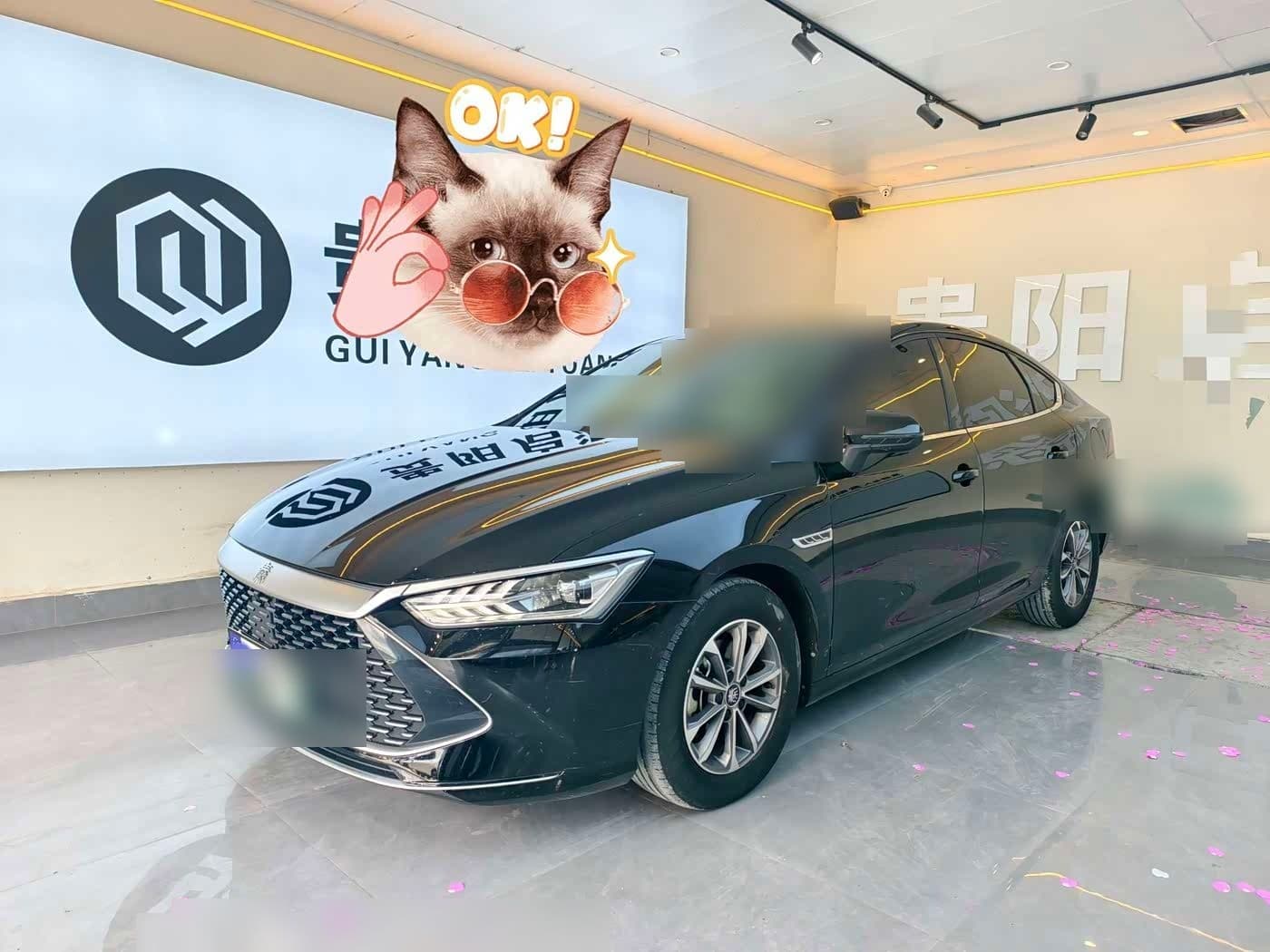 2023 BYD Qin PLUS front exterior