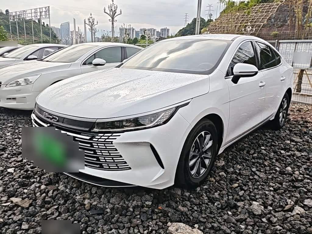 2024 BYD Destroyer 05