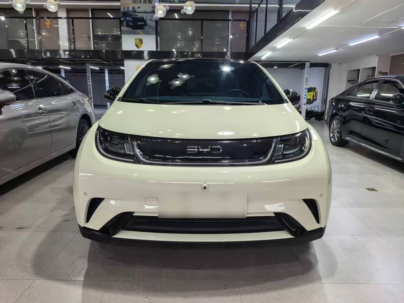 2024 BYD Dolphin front exterior