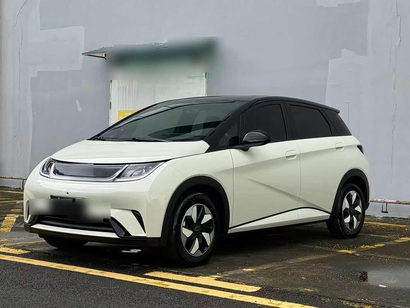 2024 BYD Dolphin