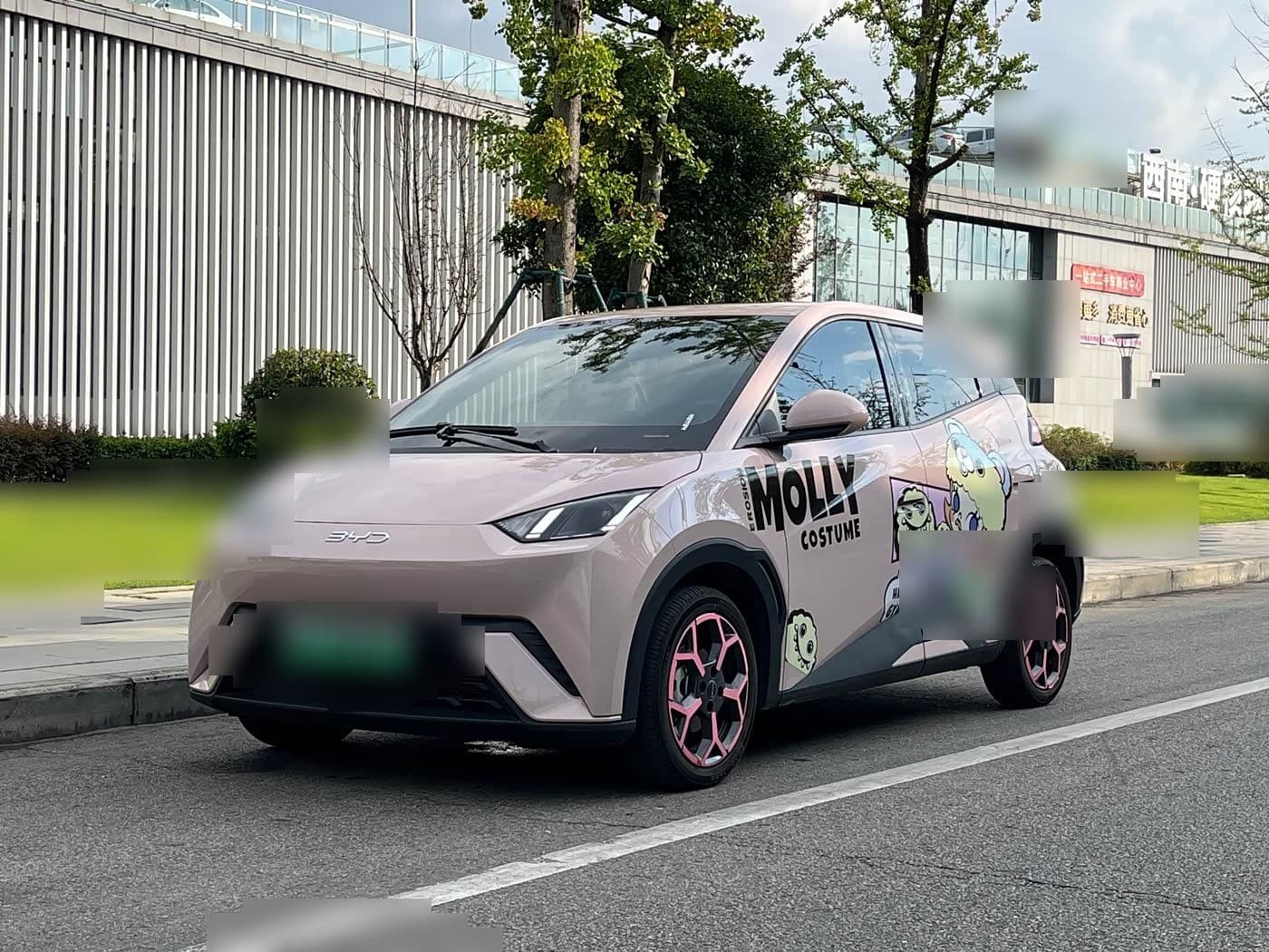 2024 BYD Seagull