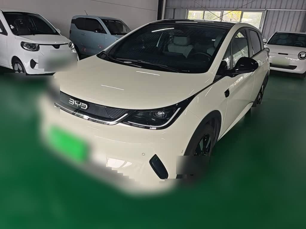 2025 BYD Dolphin