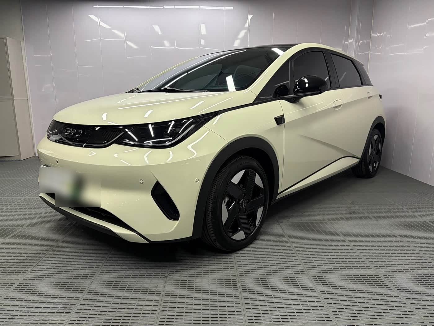 2025 BYD Dolphin