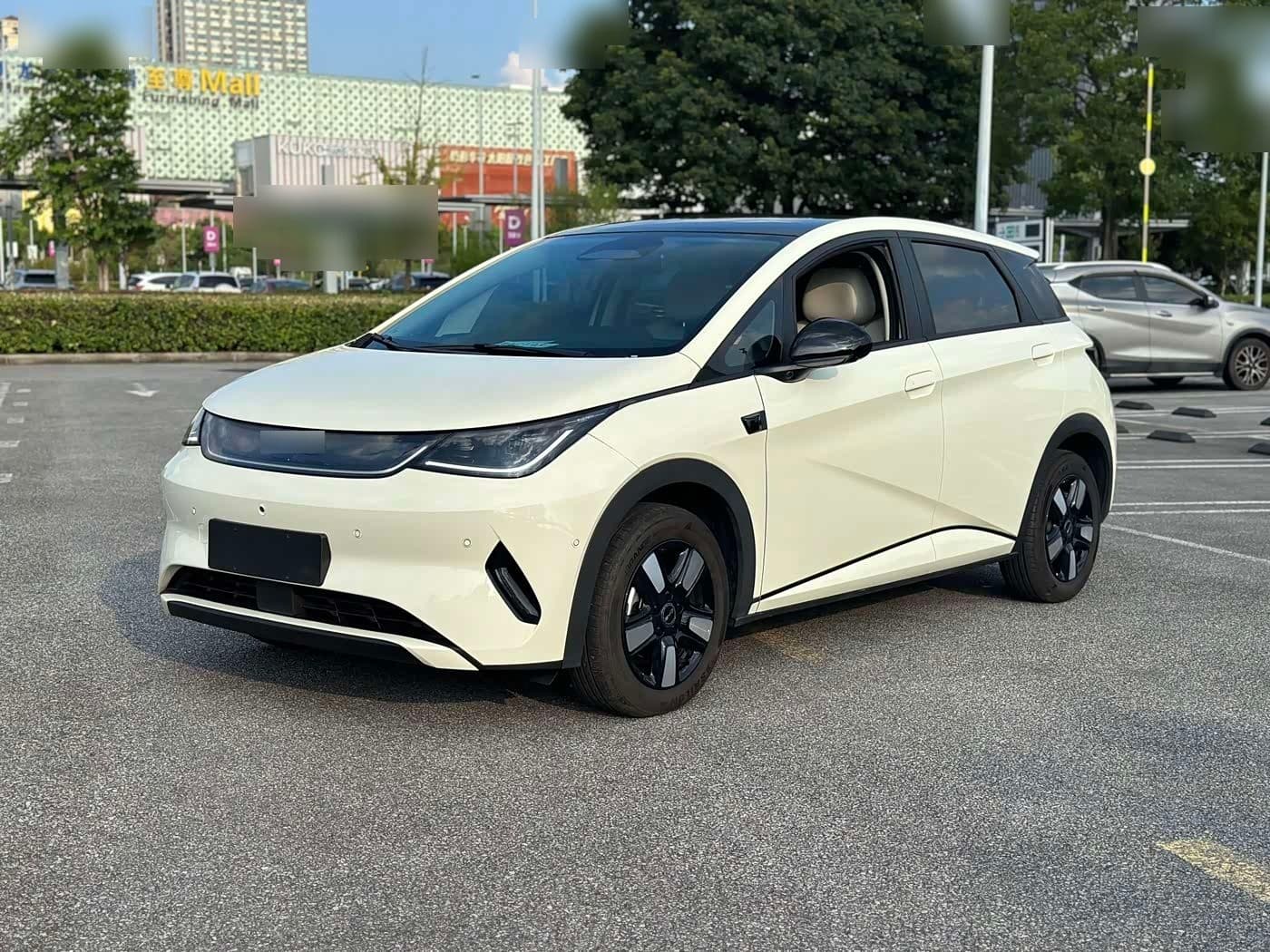 2025 BYD Dolphin