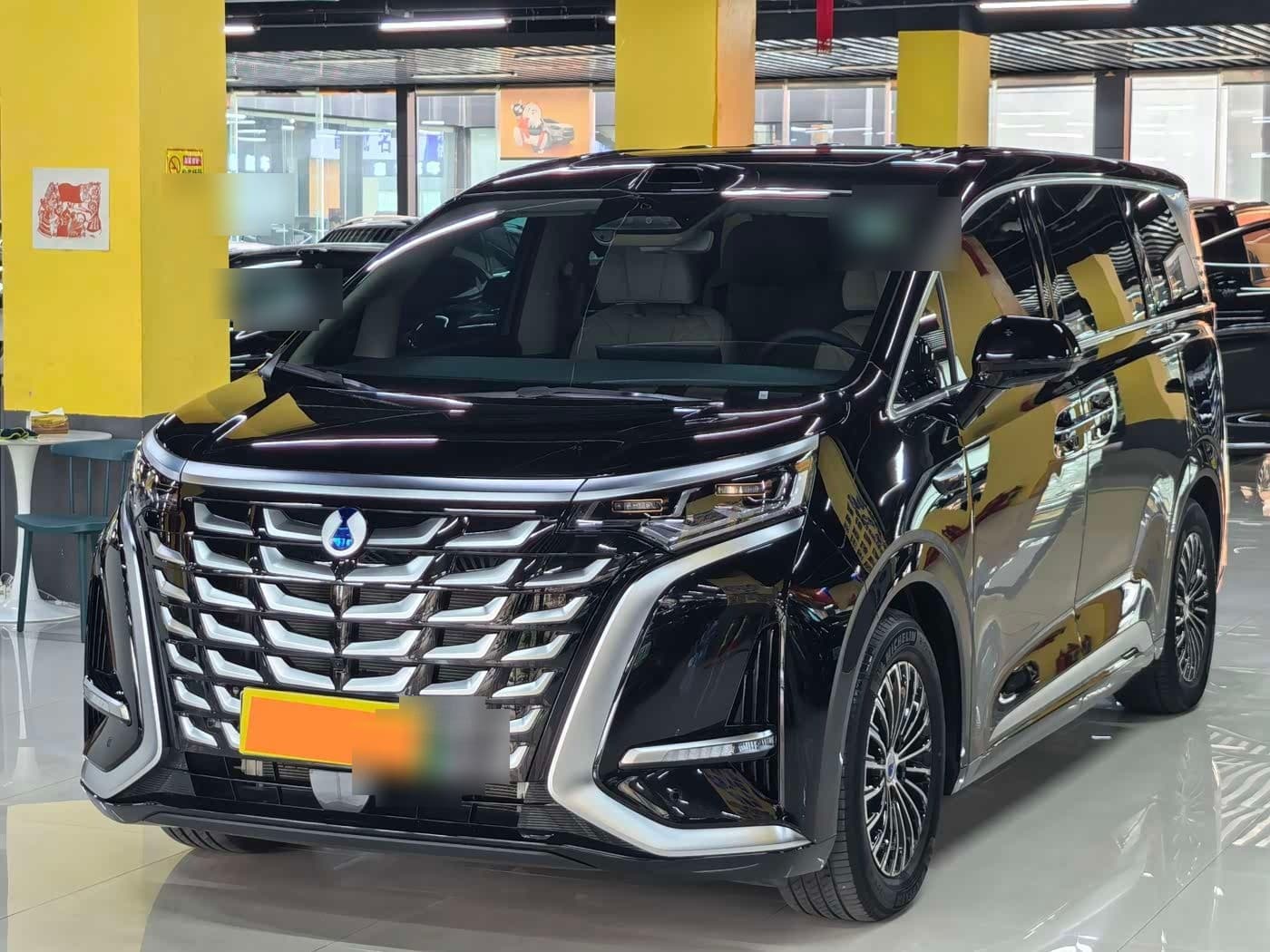 2025 Denza D9
