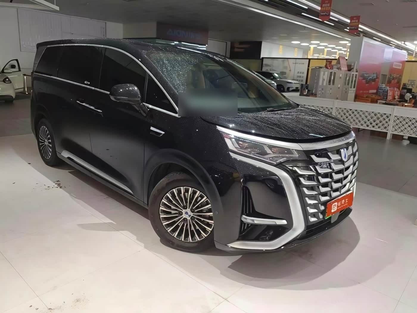 2025 Denza D9
