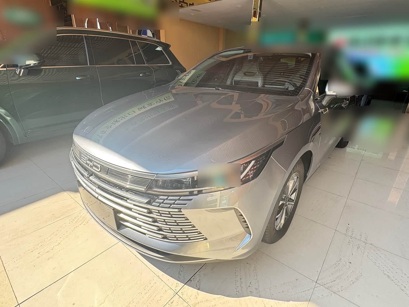 2024 BYD Destroyer 05