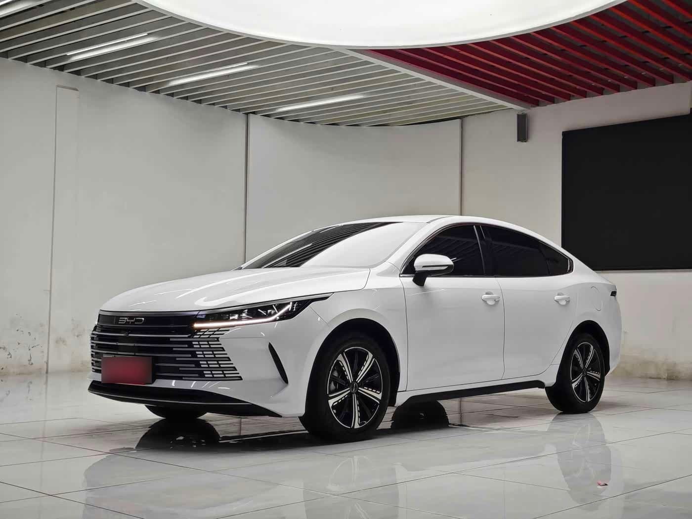 2023 BYD Destroyer 05