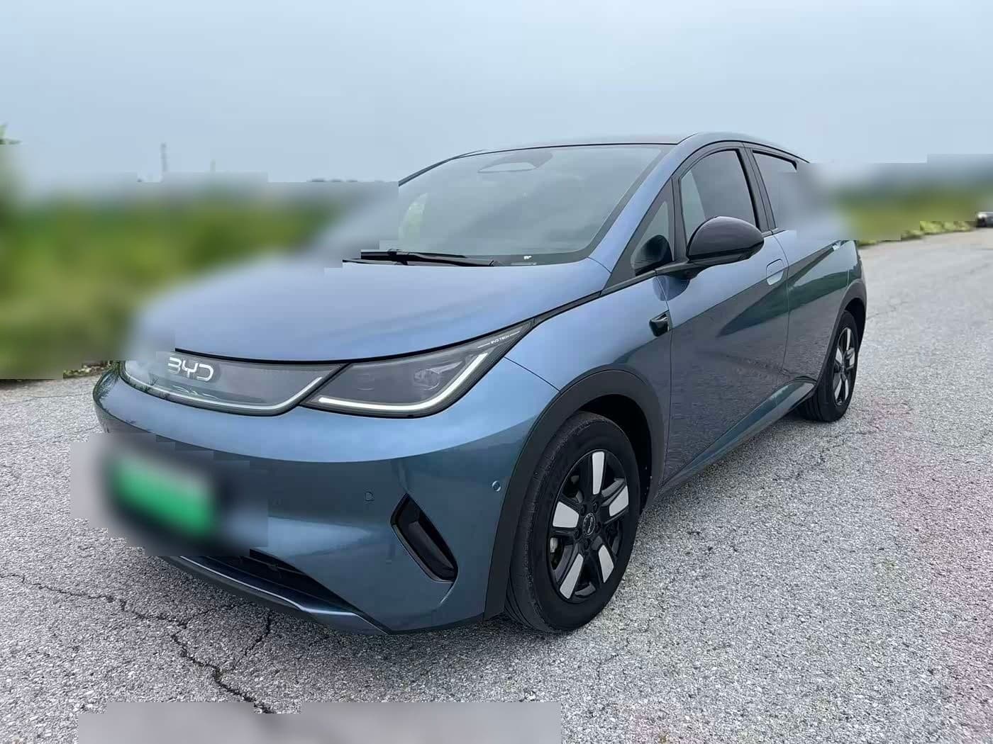 2025 BYD Dolphin