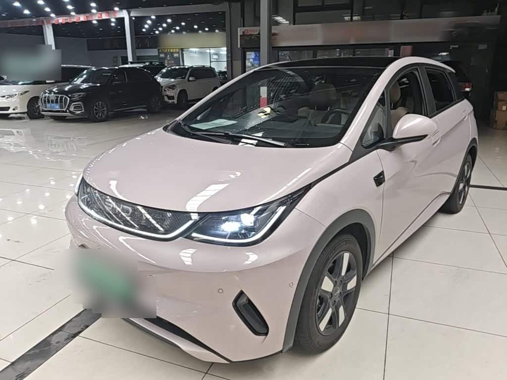 2025 BYD Dolphin